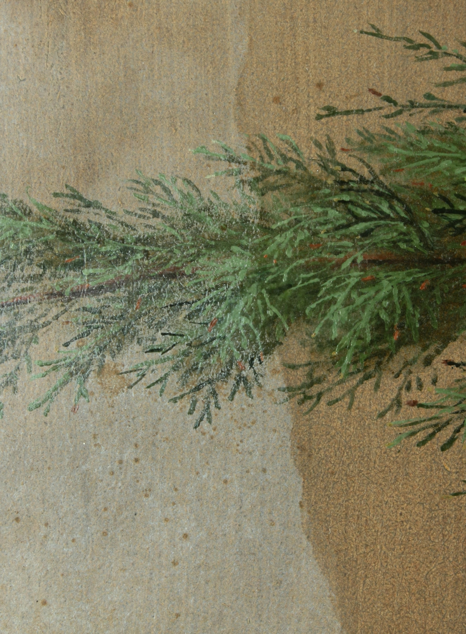 Removing whitish bloom – Adolf Senff: Cypress Branches (detail), 1848, oil on paper, 44.0 x 57.7 cm | Kulturstiftung Sachsen-Anhalt – Moritzburg Art Museum, Halle an der Saale | Photograph: Linda Haselbach
