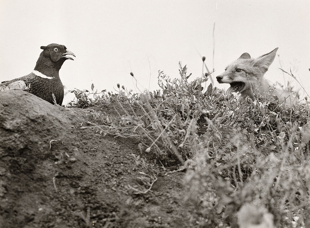 Attila Kovács: Ohne Titel, 1970–1989, Foto: Kulturstiftung Sachsen-Anhalt © Attila Kovács