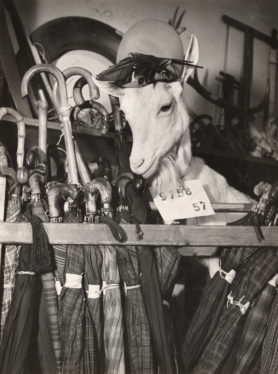 Milada Einhornová: aus der Serie: Rickys Abenteuer in einer großen Stadt, 1950–1959, Foto: Kulturstiftung Sachsen-Anhalt © Nachlass Milada Einhornová