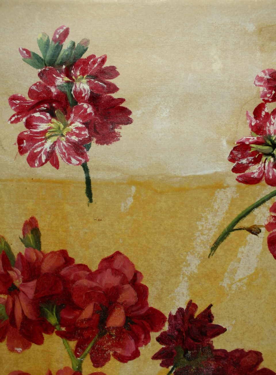 Removing varnish – Adolf Senff: Dark Red Flowers (detail), 1849, oil on paper, 27.1 x 22.1 cm | Kulturstiftung Sachsen-Anhalt – Moritzburg Art Museum, Halle an der Saale | Photograph: Linda Haselbach